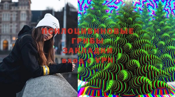 дурь Балахна