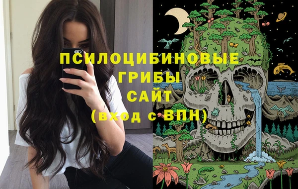 дурь Балахна
