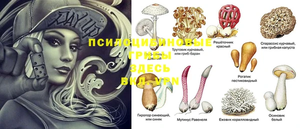 крисы Балабаново